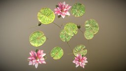 Water Lilies plants, flowers, vegetation, foliage, leafs, 3dsculpting, waterlily, leaves, waterlilies