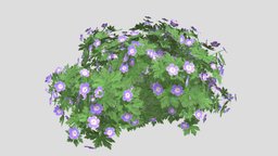 Geranium PINK green, plant, forest, plants, flora, flower, garden, purple, wild, pink, leaf, nature, bush, geranium, disign, leaves, perennial