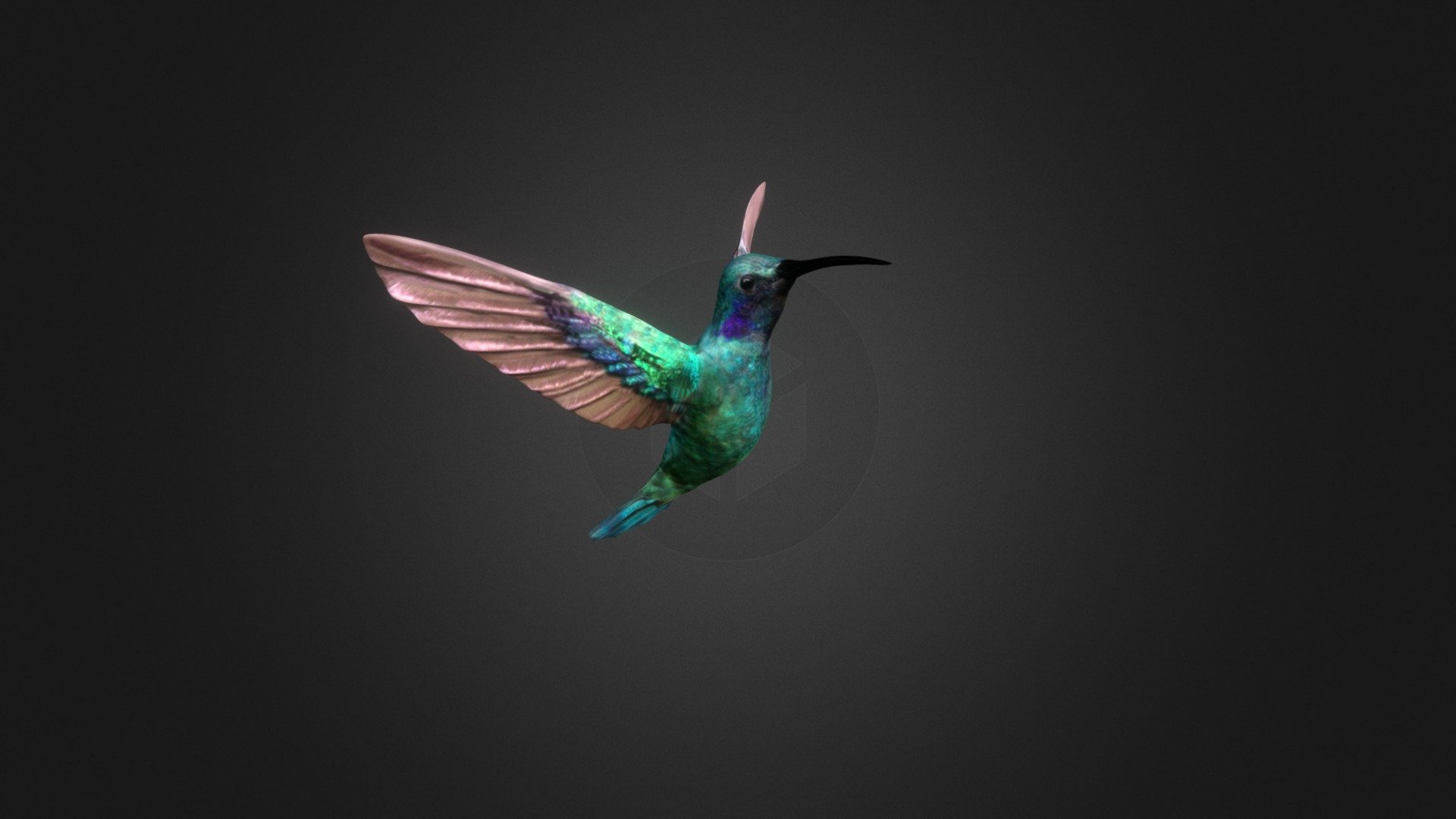 Model used for a case study of diagnostic swabs, inspired by the structure of hummingbird's tongue.

https://www.behance.net/gallery/145802335/CRN_01-Hummingbird-Swabs
https://sygnis.pl/en/crn_01-hummingbird-original-swabs-design/ - Hummingbird - 3D model by SYGNIS New Technologies (@Sygnis) 3d model