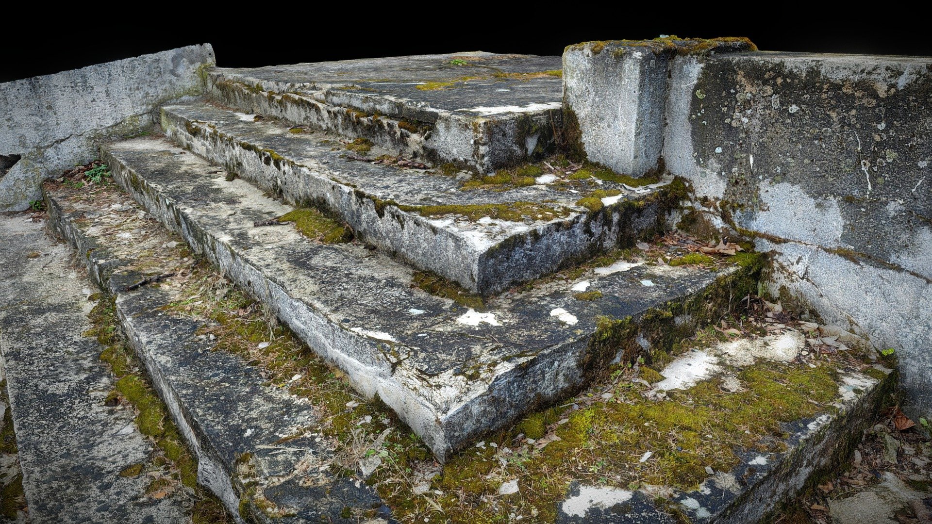 My 3D reconstruction generated with photogrammetry software 3DF Zephyr v6.505 processing 146 images - Stary Folwark, Moss Stair, Details - Download Free 3D model by zhenkoest (@zhenko) 3d model
