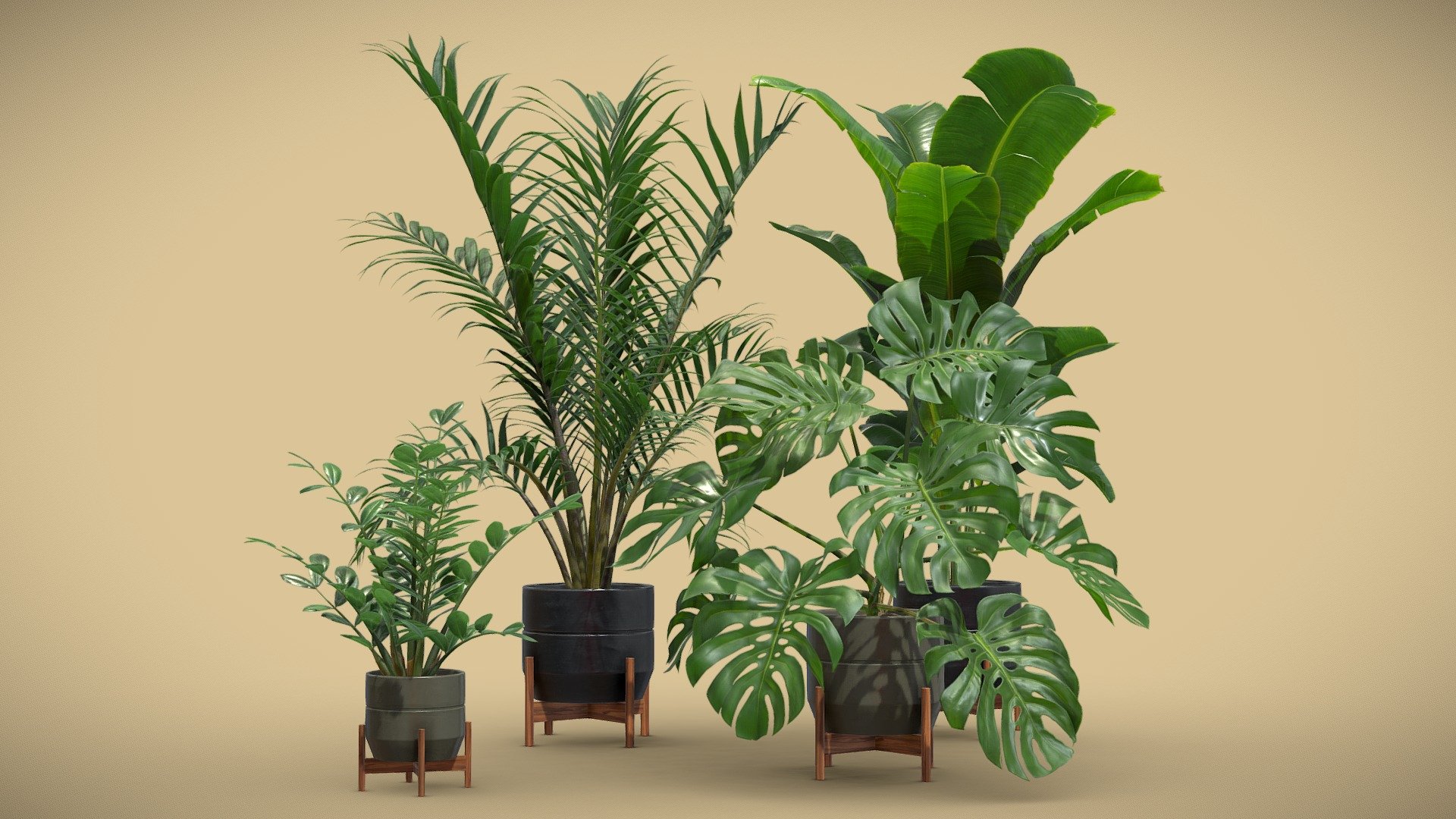 Indoor Plants Pack 48

This selection of indoor exotic plants will provide a level of detail that will take your visualizations to the next level. 

Models can be subdivided for more definition.




Howea Forsteriana

Zamioculcas Zamiifolia (ZZ Plant)

Monstera Deliciosa (SwissCheese Plant)

Strelitzia Reginae

4k Textures




Vertices  92 018

Polygons  78 987

Triangles 153 972
 - Indoor Plants Pack 48 - Buy Royalty Free 3D model by AllQuad 3d model