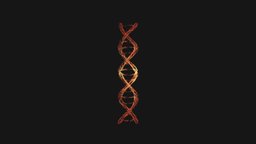 Human DNA unrolling growing animation