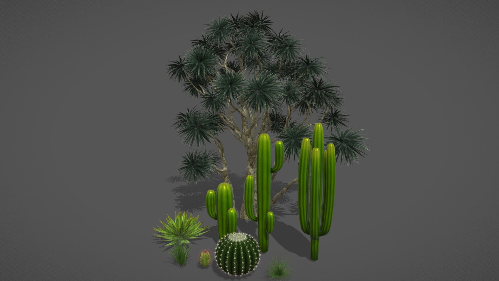 desert plant - Buy Royalty Free 3D model by gohean33 3d model