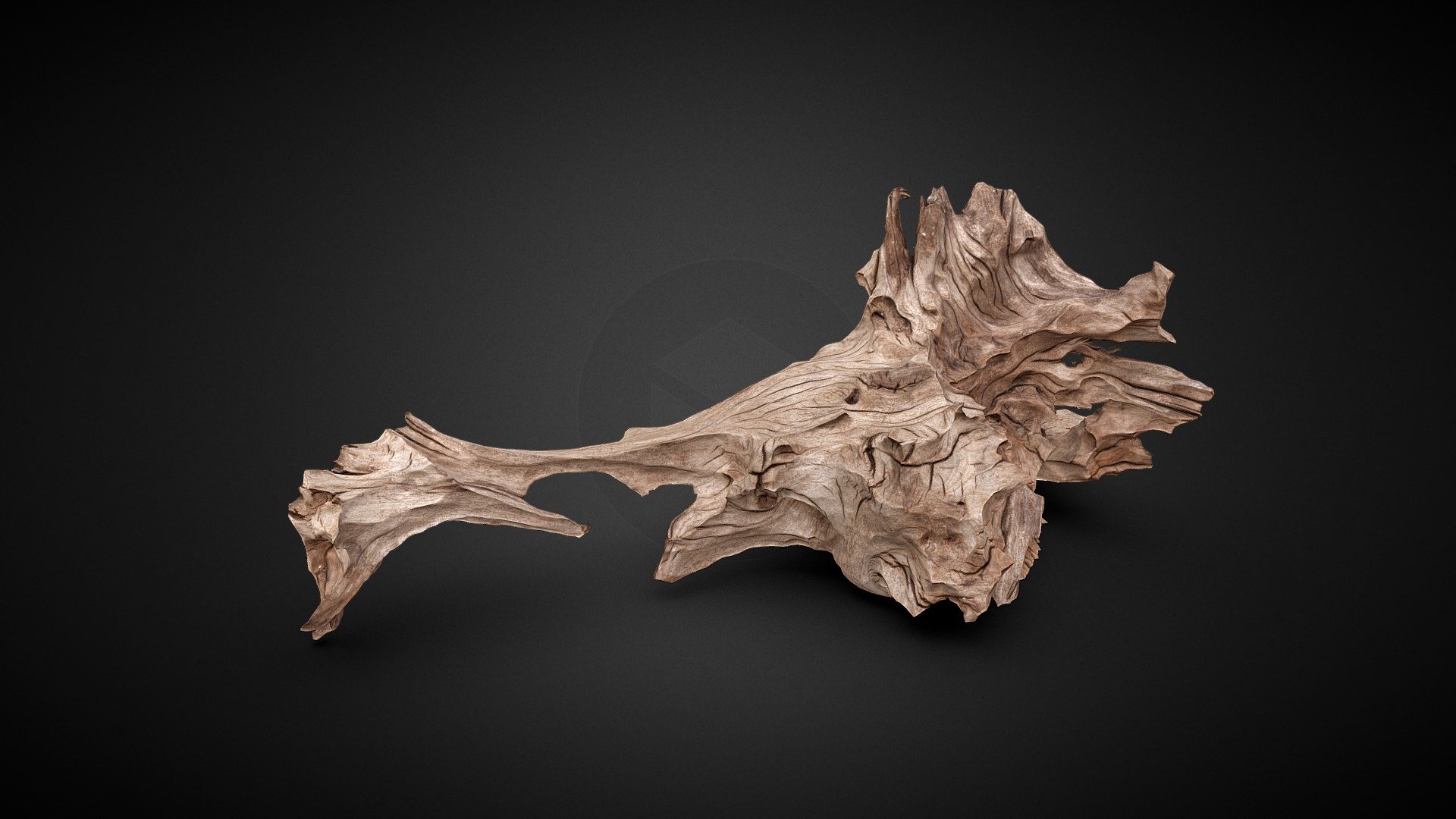 Photogrammetry Real Aquarium Wood Lowpoly Model - Real Aquarium Wood 3D scan - Download Free 3D model by grafi (@zdenkoroman) 3d model