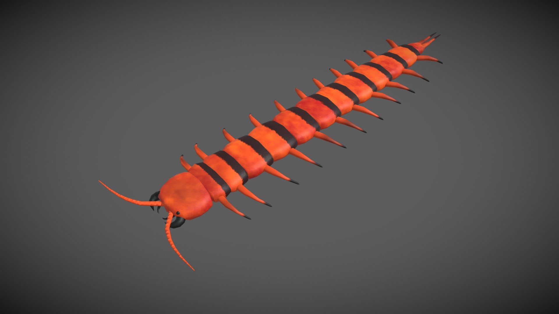 Realistic PBR Centipede worm with 10 Animations.

Details:-

-Poly count (1902 vertex, 3396 Tris)
-Low poly game ready model

Animations:-

-Idle(4 types)
-Walk
-Run
-Attack(2 types)
-Action(2 types) - Centipede worm (Orange-Black) - Buy Royalty Free 3D model by Arjun S R (@SRstudiosKerala) 3d model