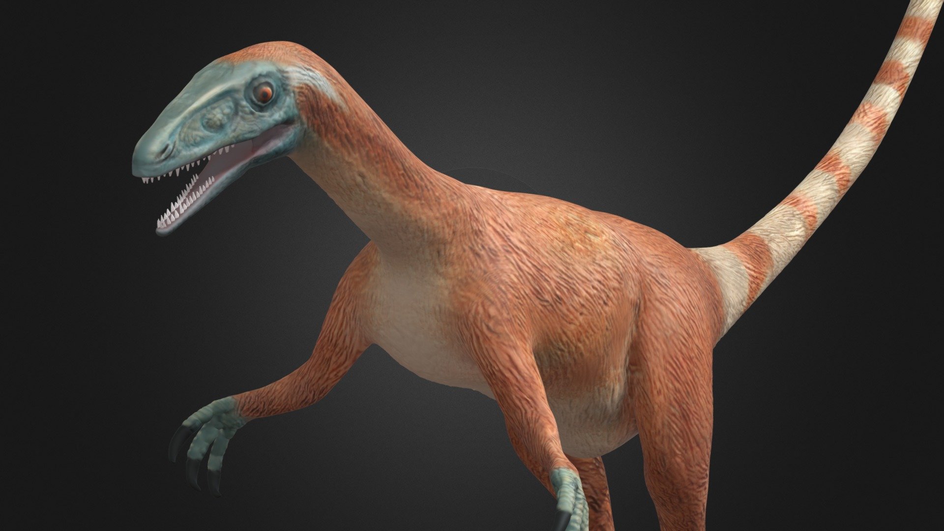 Sinosauropteryx - 3D model by monostudio 3d model