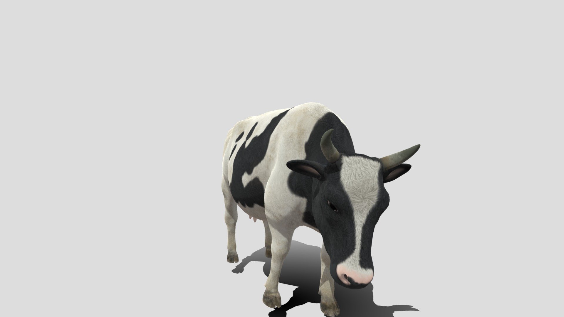 just studying baked or un baked frame flow - Cow frame test - Download Free 3D model by Nyilonelycompany 3d model