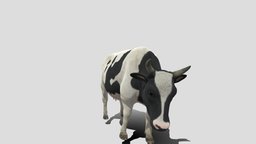 Cow frame test