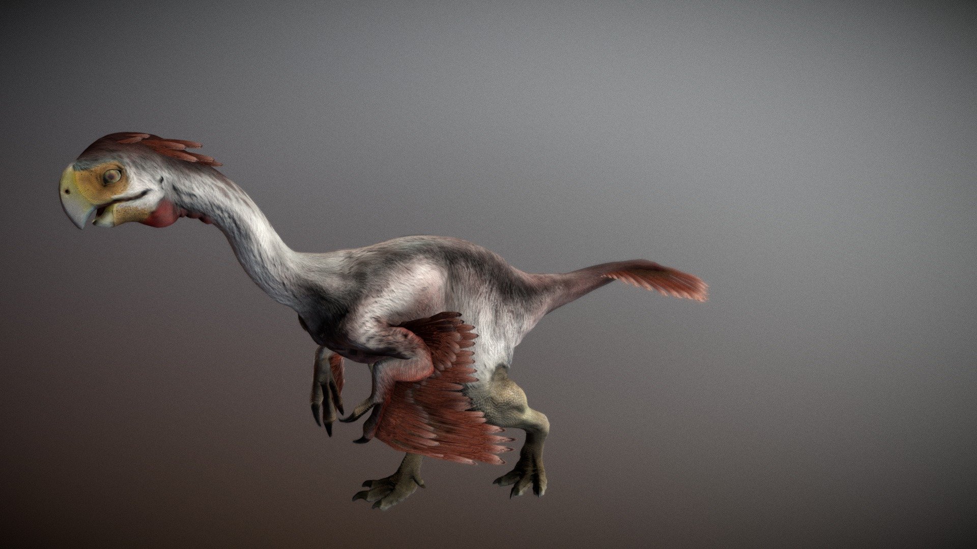 Gigantoraptor - Gigantoraptor - Download Free 3D model by robertfabiani 3d model