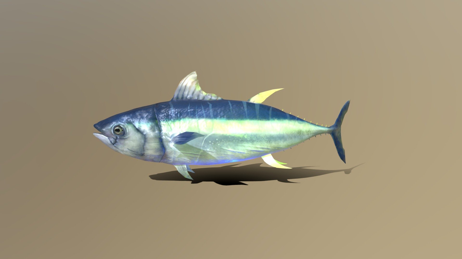A fishe i made in blender 2.9 , baked 4K textures ,  i animate it with standard bones and painted it with substance painter.

i did a remodel of this fish go chek it! (still free btw) https://sketchfab.com/3d-models/tuna-fish-642c6515d893474a8fc8f129491efcac, - Tuna Fish - Download Free 3D model by GoldenZtuff (@dhjwdwd) 3d model