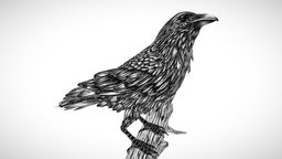 Raven bird, sketch, ink, raven, crow, npr, substancepainter, blender