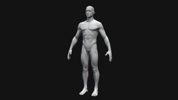 Male Base Model anatomy, humanbody, real-time, malecharacter, humananatomy, zbrush-sculpt, zbrush, human, male