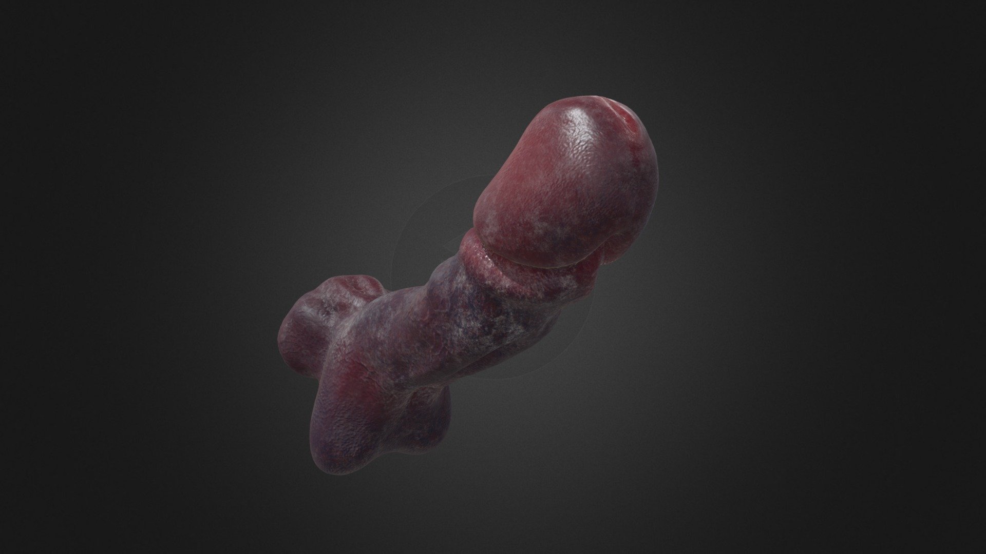 3D object created in zbrush and painted in substance painter. Pornographic model that refers to monstrous features 3d model