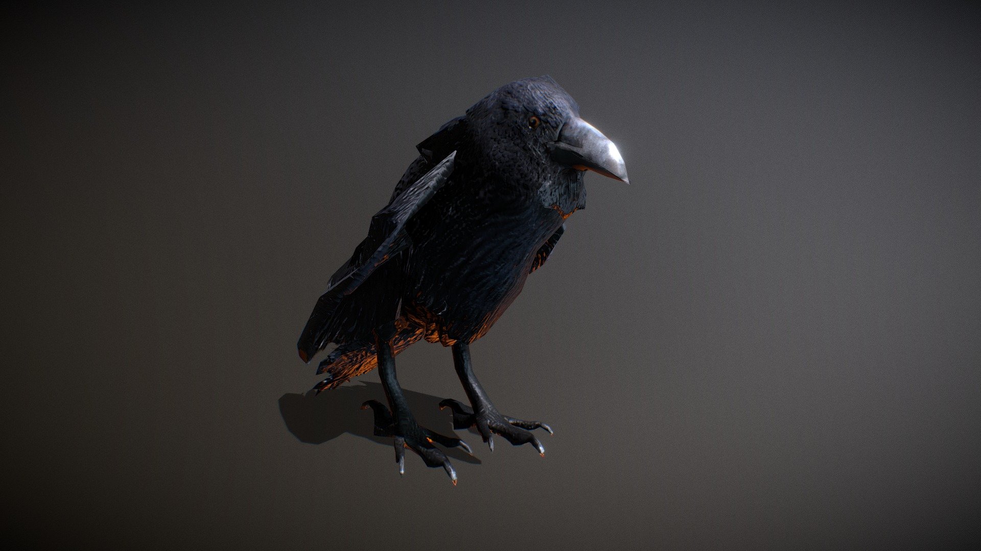 Lowpoly model whit basic animations

List of animations:




Ground idle

Scared and fly away

Fly idle

Fly attack

Fly take damage

Fly around whit fly idle keyframe start/end

Death

Programs used:




Zbrush

Subtance Painter

Blender

Photoshop

blend file included

Tested in Unity Engine

4k textures - Raven - lowpoly - Buy Royalty Free 3D model by Vanitas Unhuman (@benmonor) 3d model