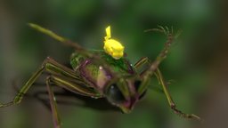Thunder beetle and his larva insect, pikachu, bellus3d