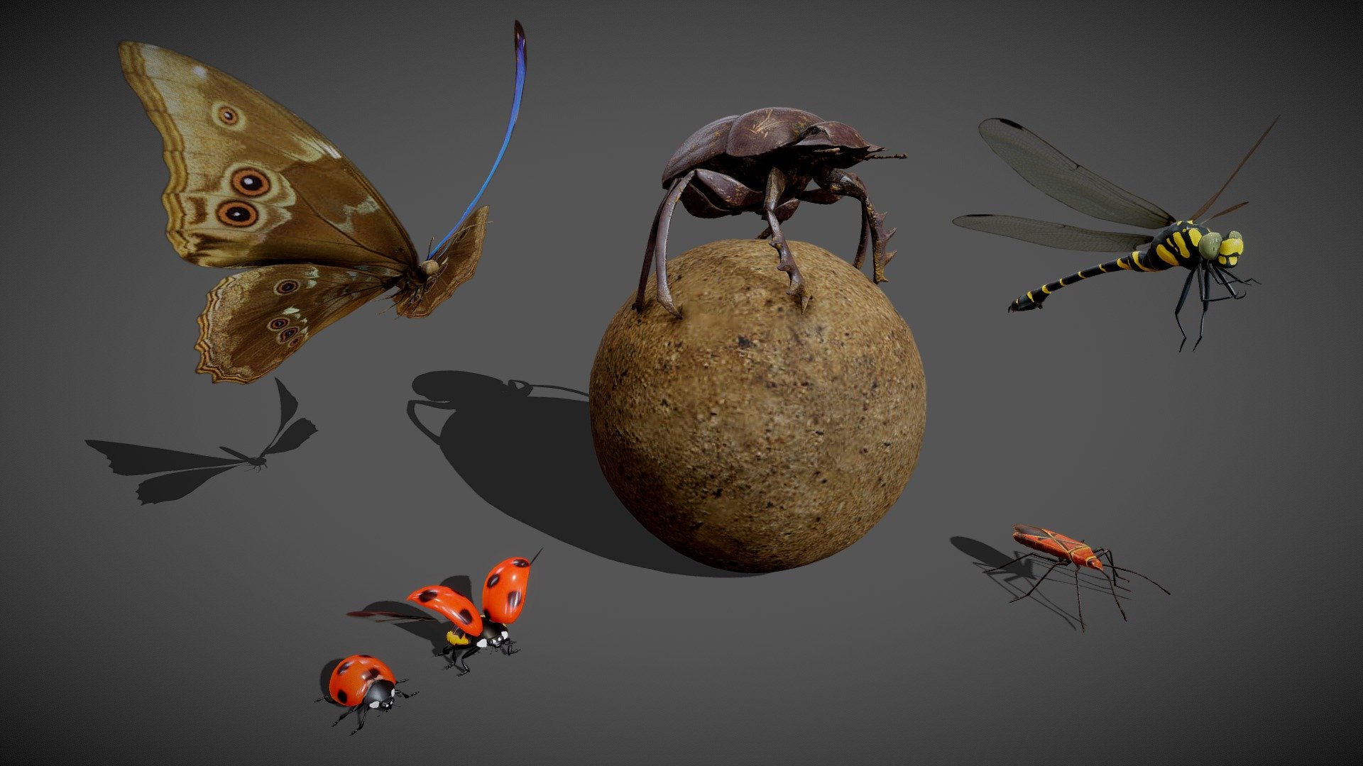 This pack contains 5 of my animated insect animals. Each model is in a fbx file format with 2048px (2K) sized textures.
with **15% ** discount

Contains 5 animated models (also available individually, link below 👇)




Butterfly (5 animations =&gt; fly, walk, take off and land + 10 wings colors)

Ladybug (4  animations =&gt; fly, walk, take off and land)

Dung beetle (6 animations =&gt; walk, idle and 4 transition)

Dragonfly (5 animations =&gt; 2 fly, walk, take off and land)

Firebug (1 animations =&gt; walk)

Please download the additional files ( available in the dowload section ), to have access to the animated models and the 2048px sized textures.




If you have any questions, contact me.

 
 - Animated insect pack - Buy Royalty Free 3D model by Zacxophone 3d model