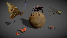 Animated insect pack coccinelle, insect, bug, beetle, dragonfly, pack, butterfly, dung, ladybug, scarab, firebug, insecte, scarabee, invertebrate, insekten, insecta, papillon, blender, animal, animated, rigged, kun-chong, noai, bousier