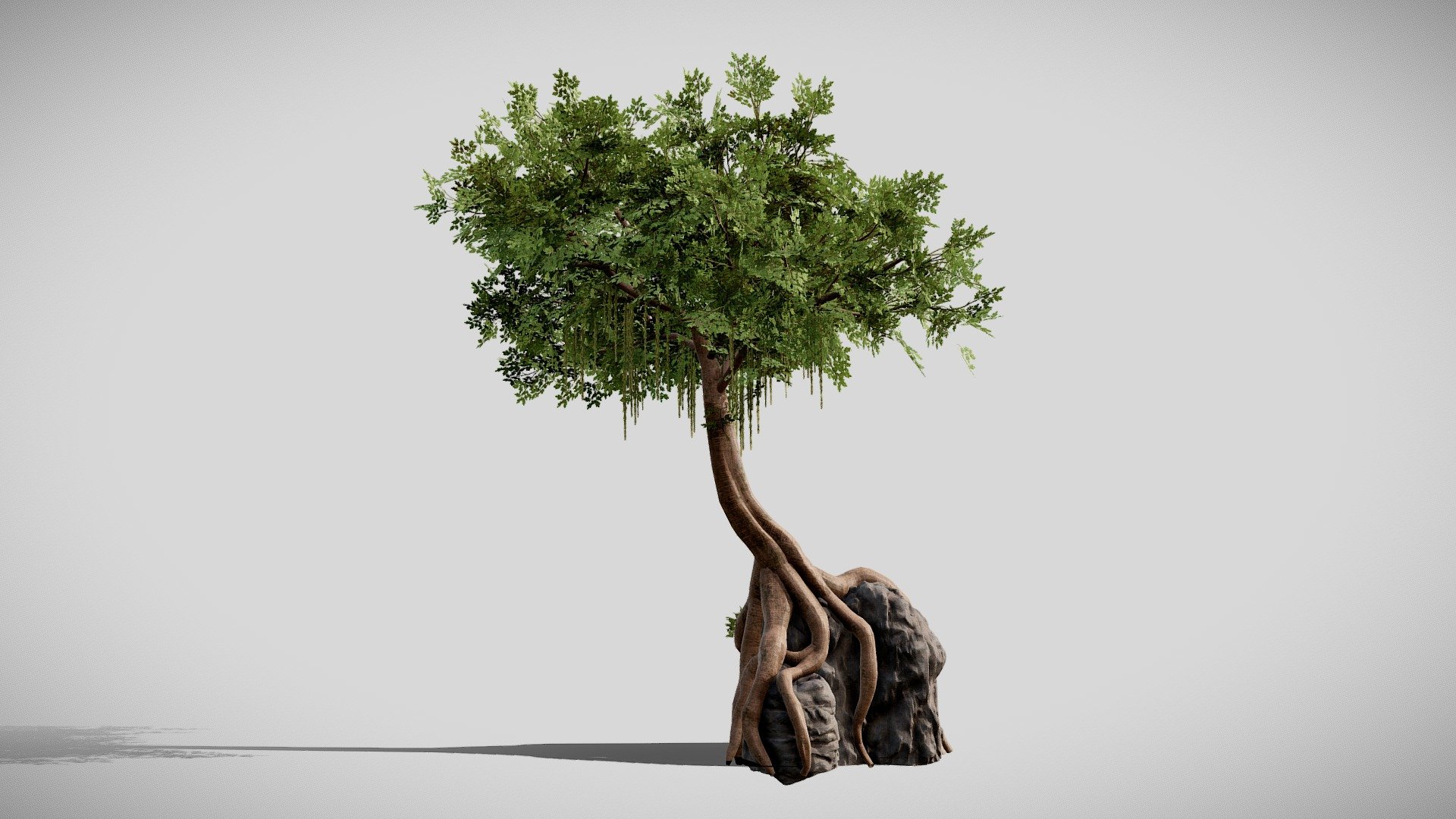 Details:

.fbx files

Low poly

Game Ready Asset

LODs + Billboard

Textures are 4K resolution (Albedo .tif with alpha channel)

Contact me for any issue or questions https://www.artstation.com/bpaul/profile - Tree On Rock - Buy Royalty Free 3D model by Paul (@nathan.d1563) 3d model