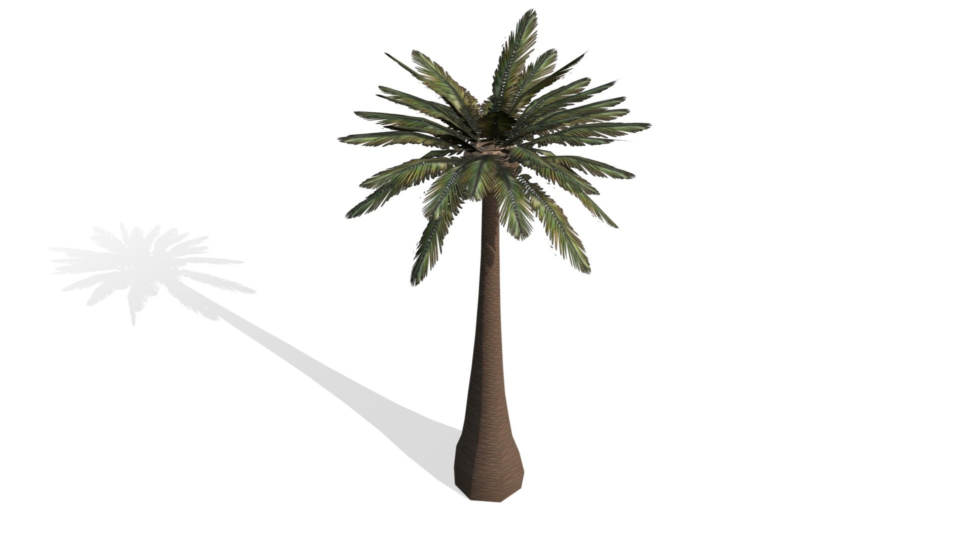 Model to renders, games and VR scenes - Palm Tree v2 (Low Poly) - Buy Royalty Free 3D model by onisproject 3d model
