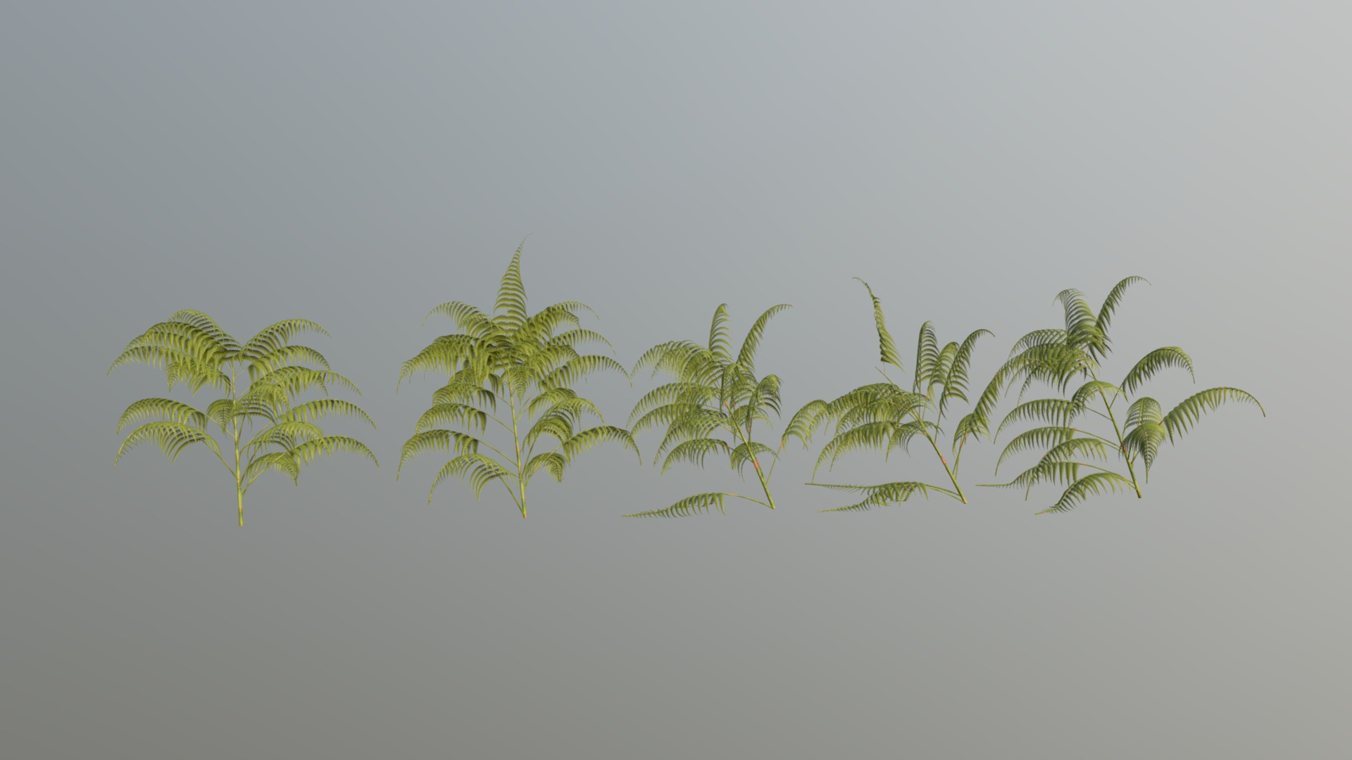 Hi all,

This is fern pack created in Blender. It includes 5 different models in real world scale (centimetres). It comes in following formats:

.blend

.fbx

.obj

The blender files have the shaders set up, so they are ready to render using Cycles. 

It also comes with set of 1K .png maps 3d model