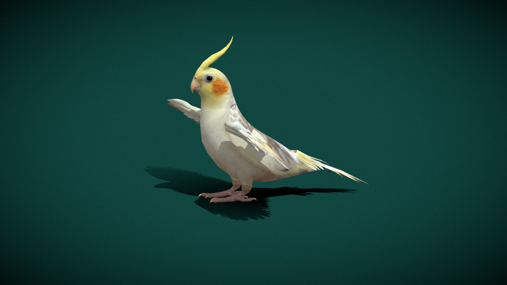 Cockatiel Parrot Bird Test**




Nymphicus hollandicus

Lowpoly

4K PBR Textures

Base Mesh



The cockatiel, also known as the weero/weiro or quarrion, is a medium-sized parrot that is a member of its own branch of the cockatoo family endemic to Australia. They are prized as household pets and companion parrots throughout the world and are relatively easy to breed. Wikipedia
Lifespan: 10 – 15 years (In the wild)
Mass: 70 – 120 g (Adult)
Domain: Eukaryota
Family: Cacatuidae
Kingdom: Animalia
Order: Psittaciformes - Cockatiel Parrot (Lowpoly) - 3D model by Nyilonelycompany 3d model
