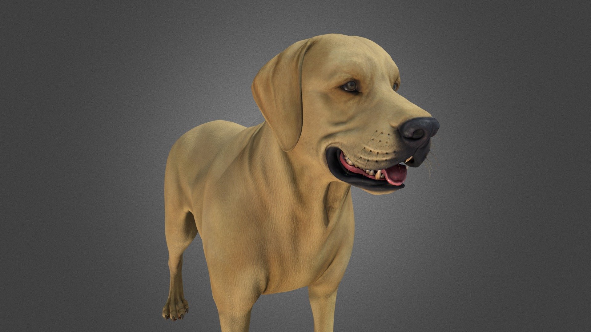 high detailed dog - high detailed dog - Download Free 3D model by Al-Deezel (@Al-dezel) 3d model
