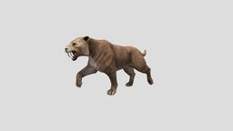 Saber-tooth tiger cat, ancient, tiger, tigers, myanmar, saber-tooth, animation, nyi, nyilonelycompany
