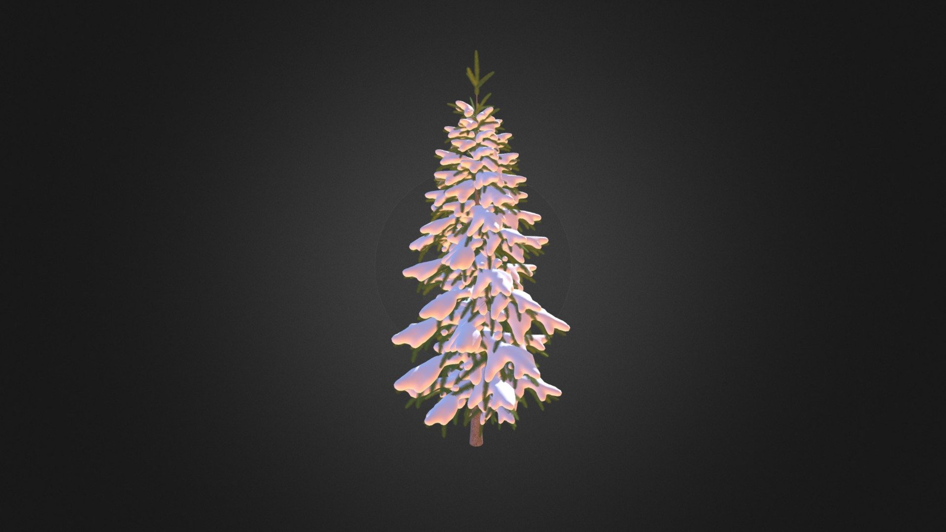 Fir Tree with Snow 3D Model 2.6m - Fir Tree with Snow 3D Model 2.6m - Buy Royalty Free 3D model by cgaxis 3d model