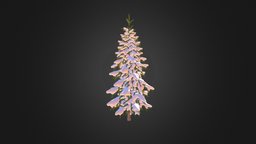 Fir Tree with Snow 3D Model 2.6m tree, forest, winter, snow, evergreen, park, foliage, bark, needle, fir, conifer, abies, wood