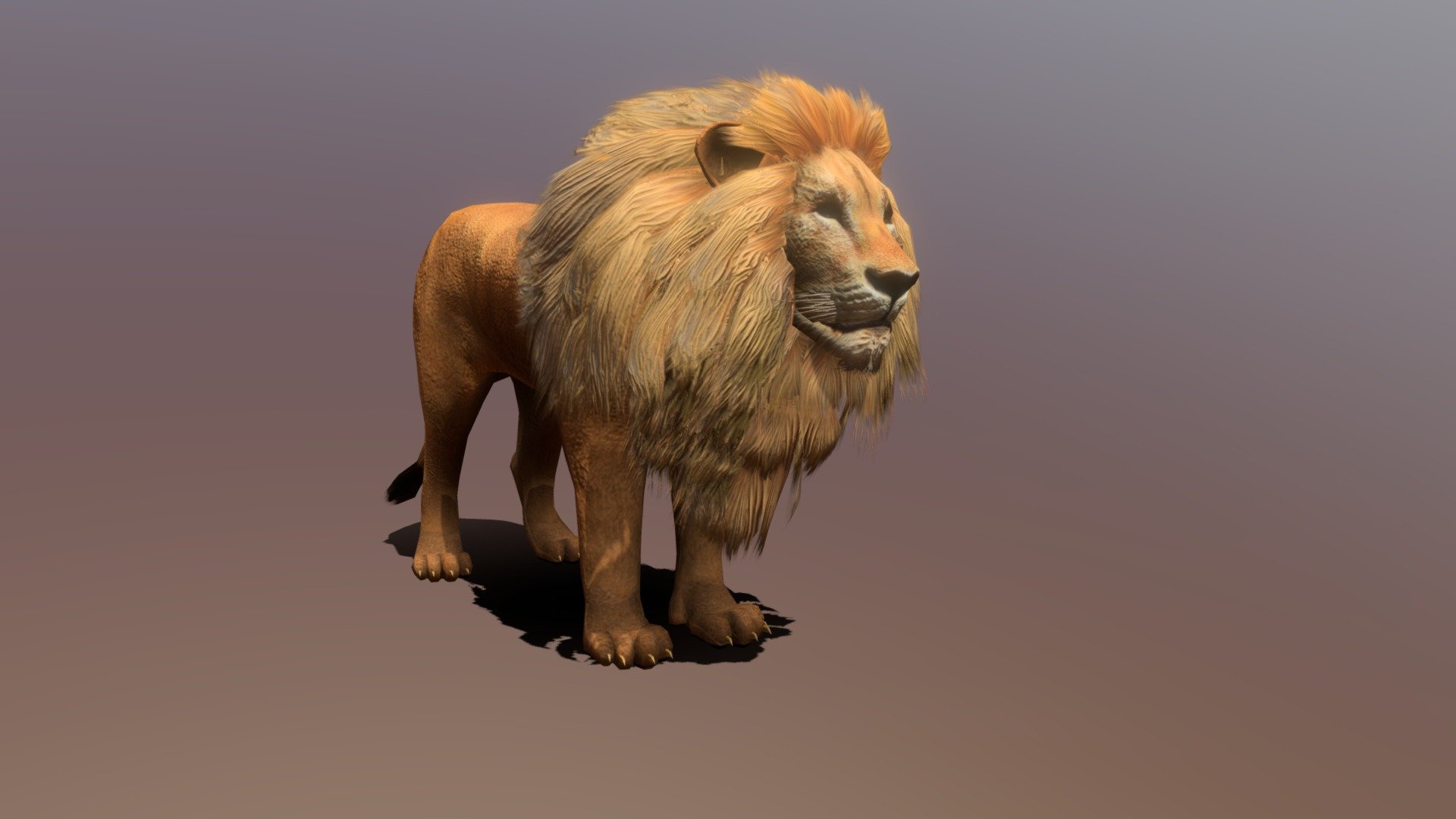 Realistic Male Lion 3D Model:
- Lowpoly (Tris: 5180 - Verts: 3192)
- Game ready with Unity Package, optimized for VR/AR apps
- Texture Maps includes: Basecolor, Opacity, Basecolor with Alpha, Normal, Roughness
- Model is created in Maya, other files supported includes: Blender, FBX, Glb/Gltf, Unity 

10 animations:
- 5-64: idle
- 70-99: walk
- 105-124:run
- 130-159: jump
- 165-194: jump and attack
- 200-224: bite
- 230-279: roar
- 285-324: combo claws attack
- 330-349: get hit
- 355-500: death - Lowpoly Male Lion Rigged Animated for VR AR - Buy Royalty Free 3D model by Dzung Dinh (@hugechimera) 3d model