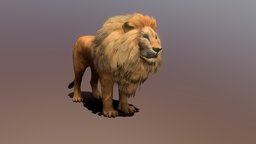 Lowpoly Male Lion Rigged Animated for VR AR