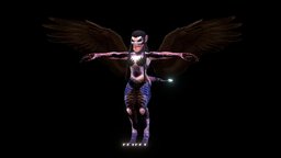 Harpia Monster + Dark Wings (Rigged) rpg, demon, devil, action, hunter, wings, angel, battle, harpia, fly, monster, fantasy
