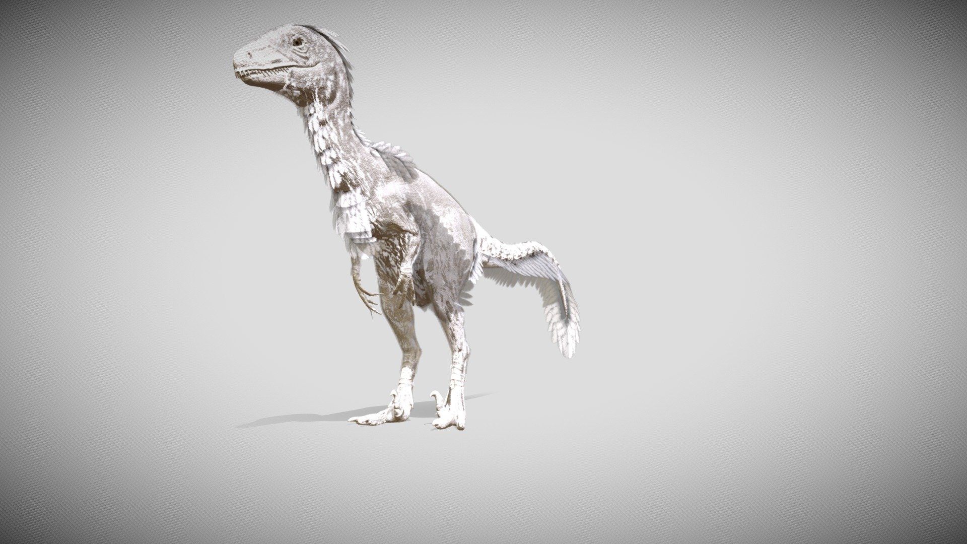 UtahRaptor with feathers, I made in blender for lowpoly games 3d model