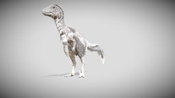 UtahRaptor dinossaur, utahraptor, game-ready, feather