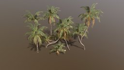 Coconut Palm Pack tropical, palm, coconut, treeit