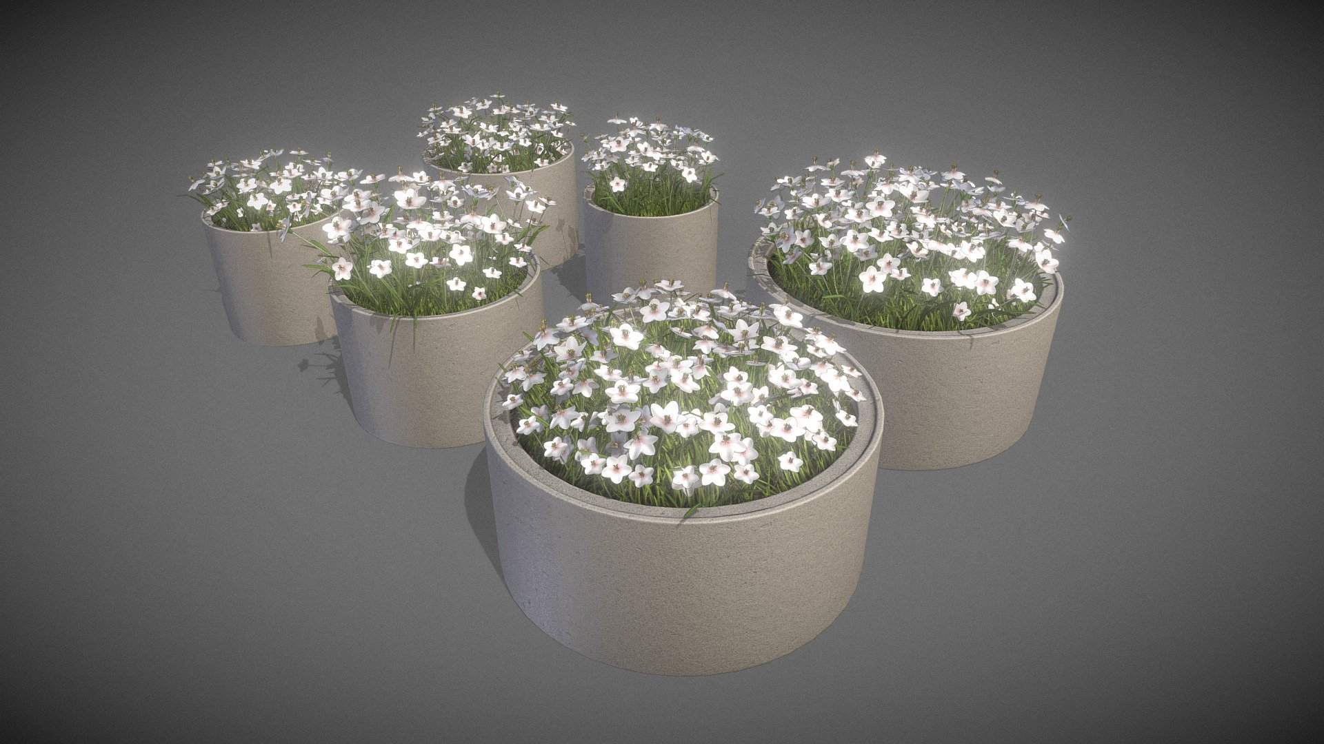 Here are some concrete pipe pots with white flowers.


Parts:



Object Name - Concrete_pot_800mm_White_Flower_1 

Dimensions -  1.014m x 1.001m x 1.110m

Vertices = 4417

Polygons = 2689






Object Name - Concrete_pot_800mm_White_Flower_2 

Dimensions -  0.964m x 1.011m x 0.980m

Vertices = 2946

Polygons = 2094






Object Name - Concrete_pot_1000mm_White_Flower_1 

Dimensions -  1.265m x 1.177m x 1.160m

Vertices = 5576

Polygons = 3279






Object Name - Concrete_pot_1000mm_White_Flower_2 

Dimensions -  1.117m x 1.131m x 1.008m

Vertices = 3904

Polygons = 2628






Object Name - Concrete_pot_1500mm_White_Flower_1 

Dimensions -  1.621m x 1.607m x 1.156m

Vertices = 8889

Polygons = 4838






Object Name - Concrete_pot_1500mm_White_Flower_2 

Dimensions -  1.500m x 1.500m x 1.008m

Edges = 8276

Polygons = 3572



Modeled and textured by 3DHaupt in Blender-2.91 - Concrete Pipe Pots With White Flowers - Buy Royalty Free 3D model by VIS-All-3D (@VIS-All) 3d model