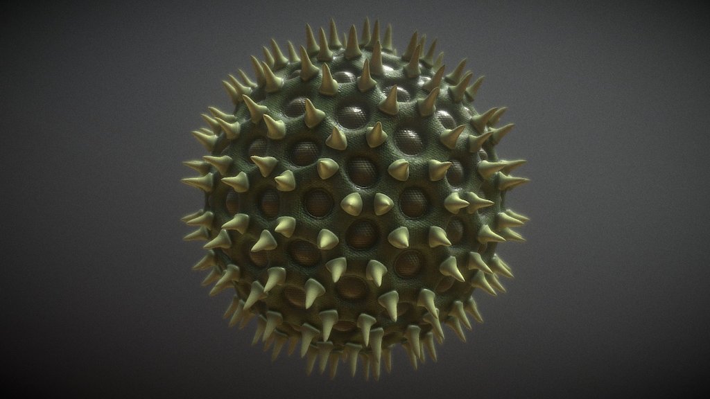 3D model of pollen particle, more about model can be found at TurboSquid -link removed- - 3D Pollen Particle - 3D model by KezanD (@dean1) 3d model