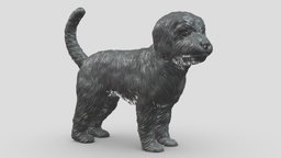 Cavoodle V1 3D print model stl, dog, pet, animals, figurine, 3dprinting, doge, 3dprint, dogstl, stldog