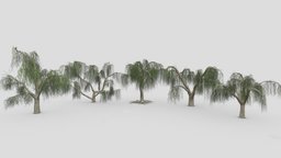 Weeping Willow Tree Pack-P2