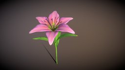 Lily_rigged_animated plant, rifle, flower, particles, leaf, color, nature, lily, glowing, beutifull, animation