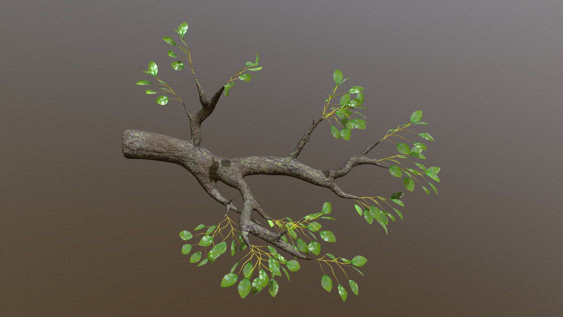 simple tree branch made in Blender
some behind-the-scenes of making this here: https://youtu.be/oylL54dxnoc - Tree Branch - Download Free 3D model by Angelina (@angelinart) 3d model