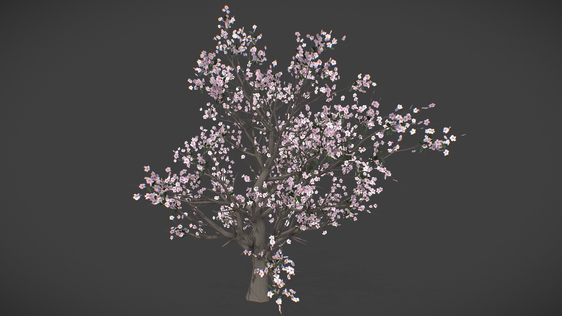 free - Japanese Cherry tree - Download Free 3D model by Nice2meetU2 3d model