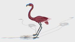 Flamingo skeleton, bird, shadow, bone, xray, flamingo, feather, 3dsketch