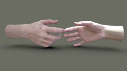 Female hands reaching anatomy, hands, game-ready, vr-ready, anatomy-human, female-hand, 3dscan, hand, female-hands