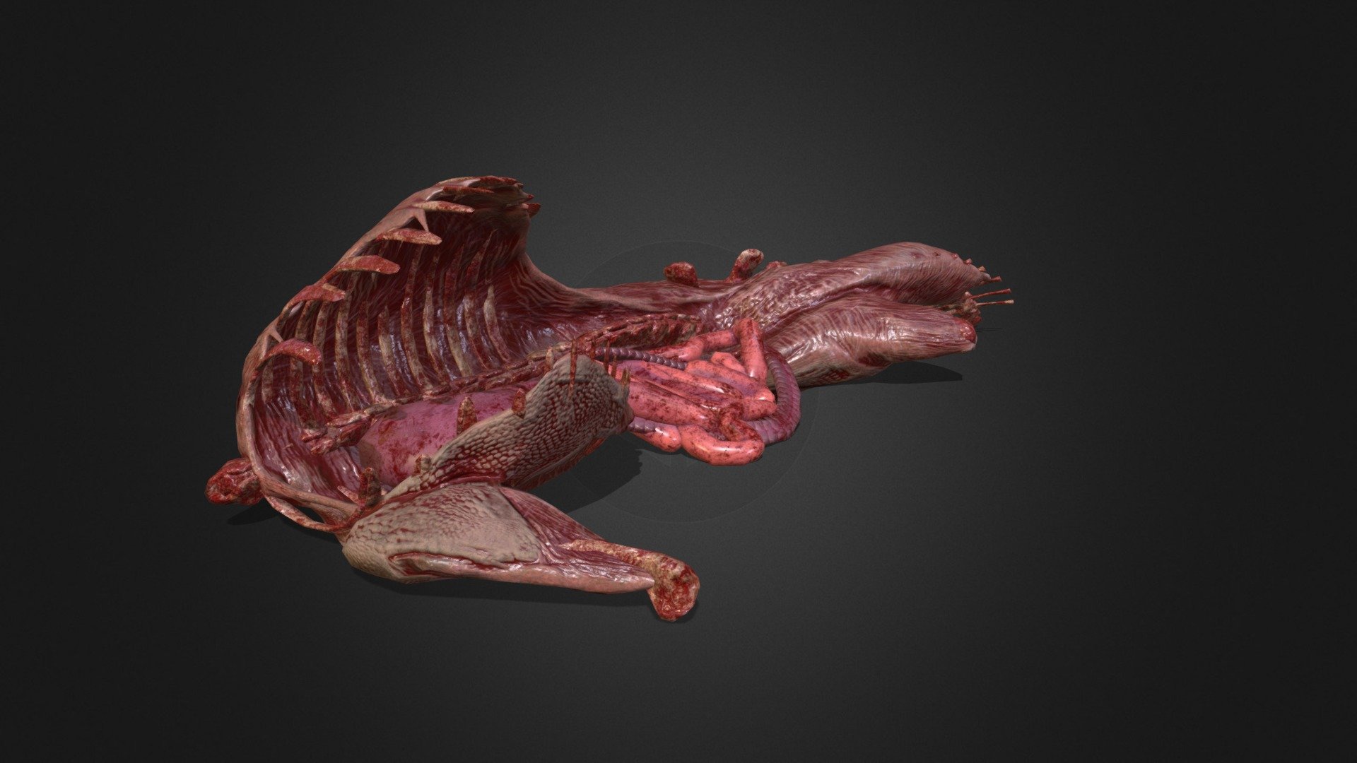 The carcass of a drake 3d model