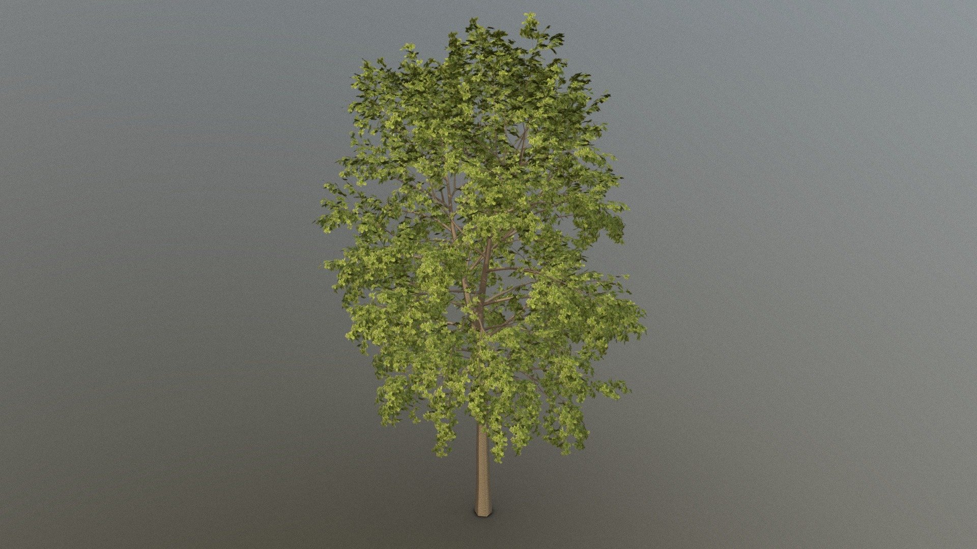 This model is made with blender. It is free to download, you can use it in your projects 3d model