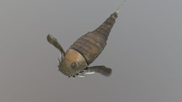 Parahughmilleria hefteri extinct, devonian, eurypterid, seascorpion