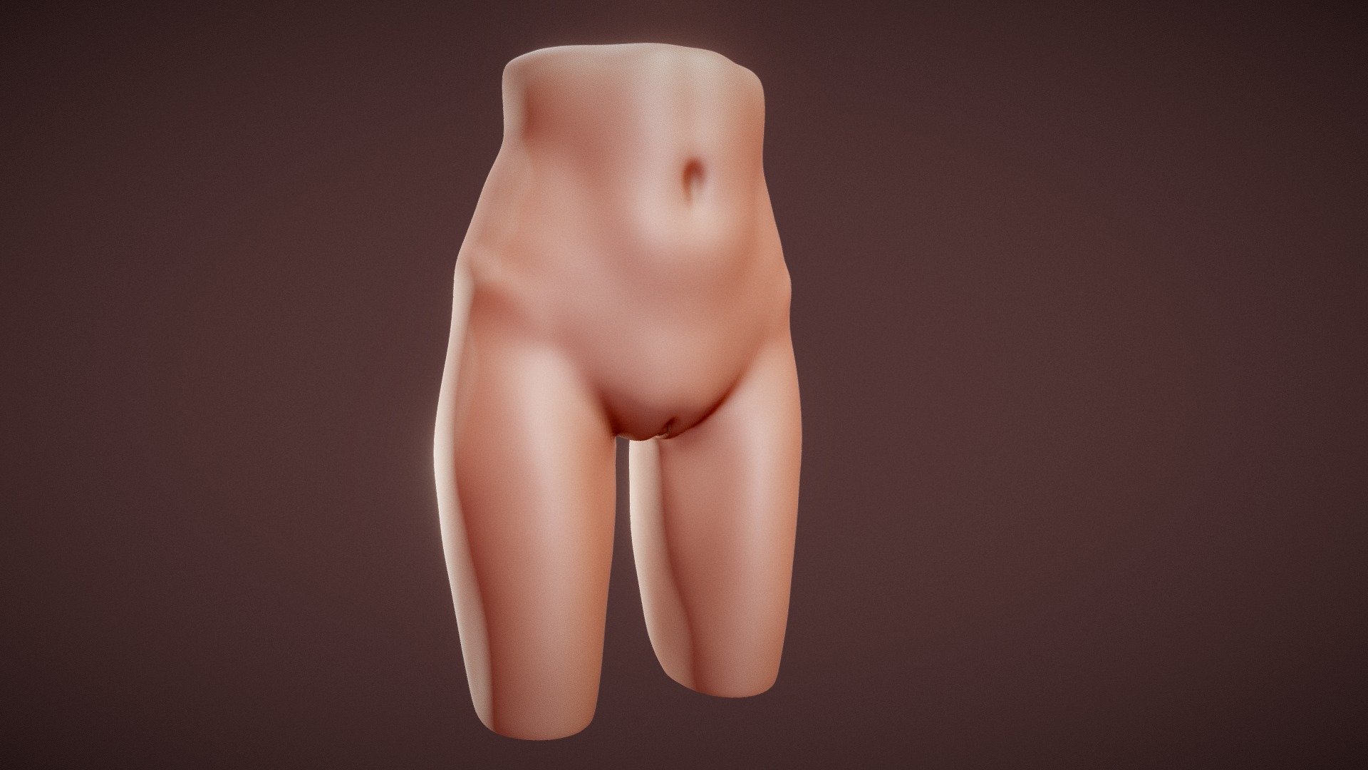 some anatomy quick sculpt - woman pelvis study - 3D model by hymer 3d model