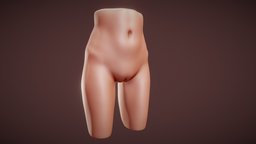 woman pelvis study sculpt, anatomy, women, study, woman