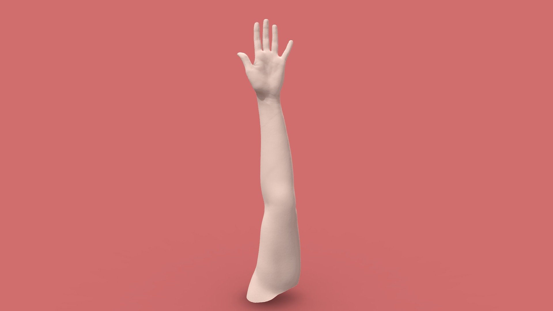This 3D scanned woman's arm was processed at a resolution of 0.4mm and reduced to 1M polygons from 2.5M. The model has no texture 3d model